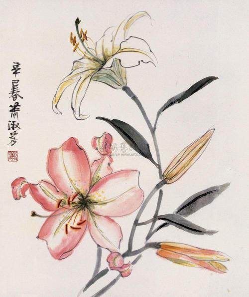 国画百合花图片