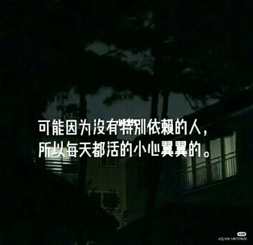 可能因为没有特别依赖的人,所以每天都活的小心翼翼的.