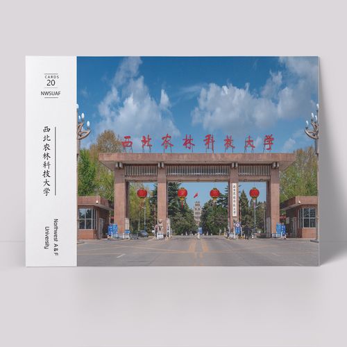 西北农林科技大学明信片 西北农大明信片 西北农林科技大学纪念品