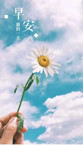 适合8月26日发朋友圈的早安句子!