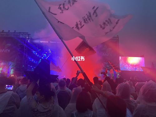 太湖迷笛音乐节_音乐节_太湖_娱乐_音乐