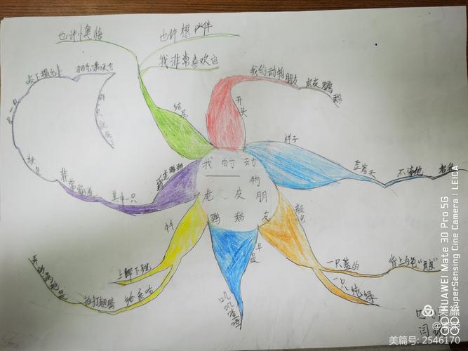 描写动物思维导图
