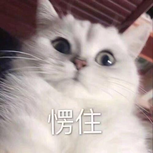 愣住  