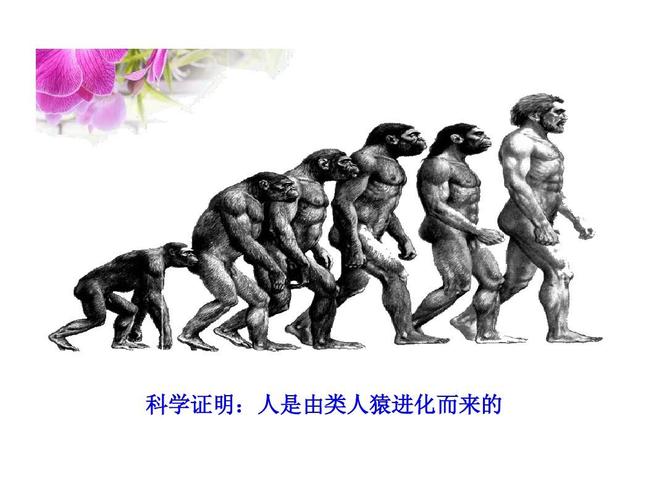 【15】【模块四:世界古,近代史】主题一:丰富多彩的古代世界ppt