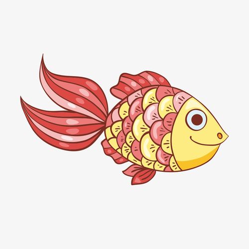 关键词 : 鱼类,海洋动物,卡通,手绘,红色,鱼鳞,动物设计