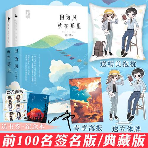 前100签名 因为风就在那里 玖月晞 追风系列 典藏版 青春言情小说【60