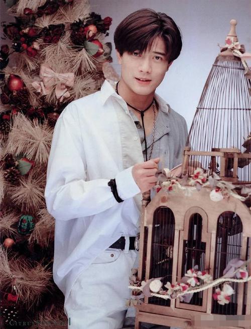 90年代红透半边天的【郭富城】,盛世美颜让人叹为观止!