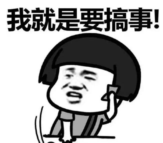 表情包.我就是要搞事情.