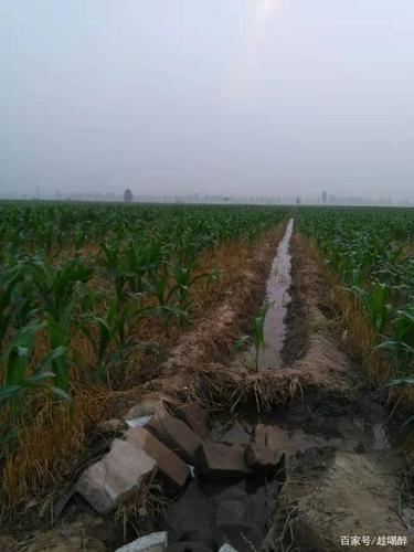 北方农村的青葱岁月"2"