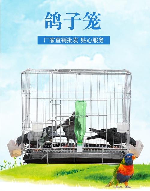 厂家批发鸽子笼自带抽屉式托盘食盒水盒草窝 鸽子笼可拆卸折叠
