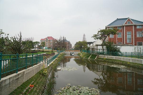 宝山区罗泾镇花红村