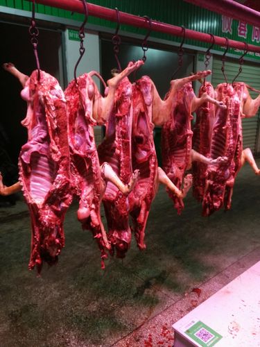 7月17号起头伏恰狗肉咯"本人为广大的朋友,酒店朋友精心准备了现杀