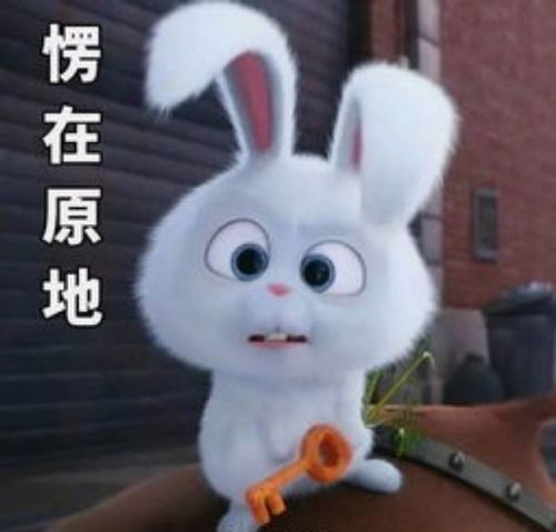 小兔子好玩可爱微信表情包