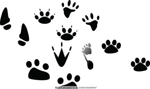 脚印 动物 动物胶印 卡通脚印 小鸡脚印 人脚印