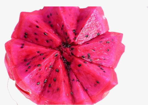 果肉鲜红的红心火龙果