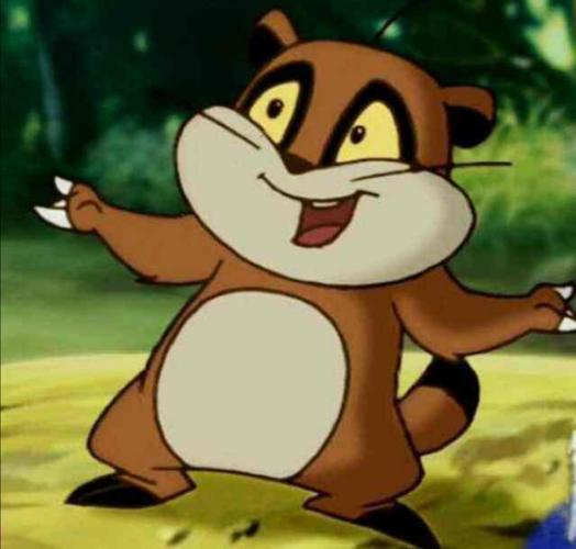 42糖,以及讨论小猪熊的物种问题