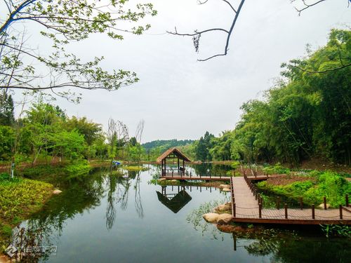 资阳保和花溪河风景区一游,51劳动节就将开园,到时候约一波不?