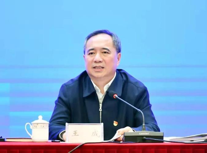 全省抓党建促乡村振兴会议在浏阳市召开,省委常委,省委组织部部长王成
