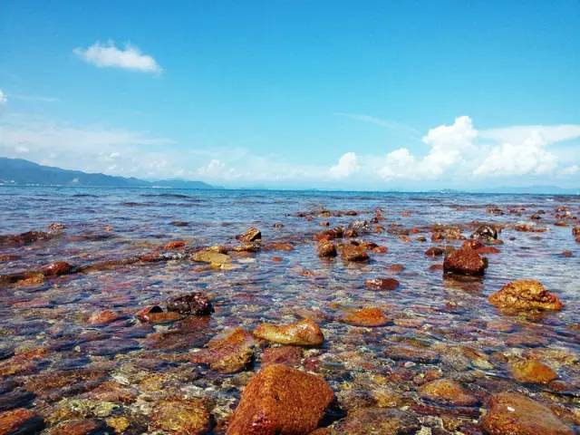 端午最美西涌海滩 "小鼓浪屿"较场尾,住特色客栈,别拦