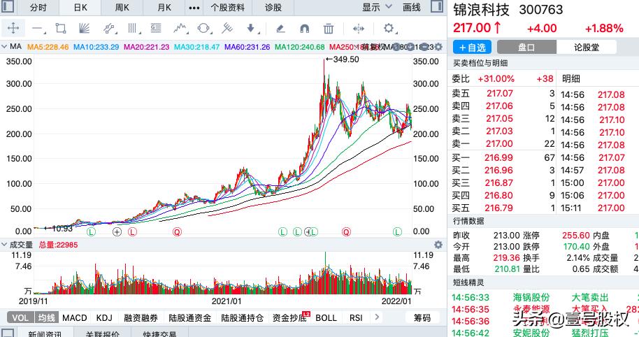 a股有哪些股票2020年以来涨幅最大的十只股票