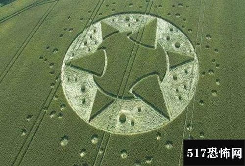 麦田怪圈之谜真相大白,人为制造/外星人甩掉黑锅