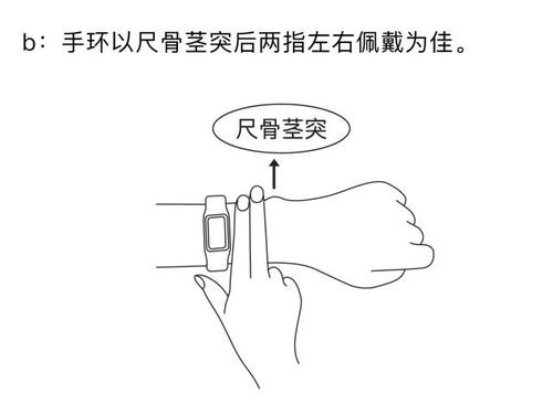 贝塔树运动心率手环佩戴位置