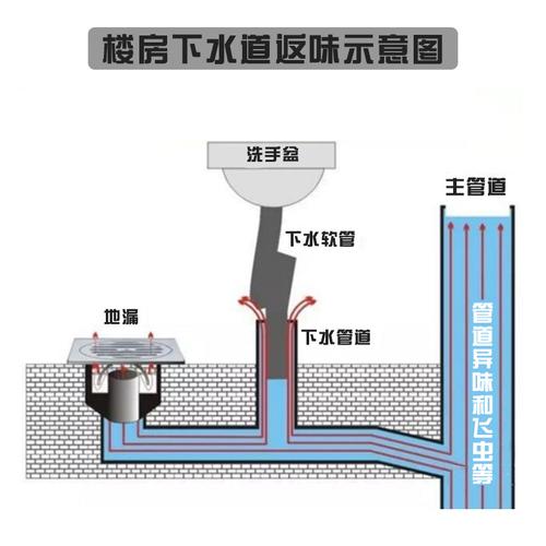 厕所管道洗手卫生间除去异味神器下水道飞虫除臭剂