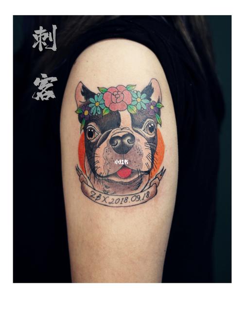 法国斗牛犬_纹身_法国斗牛犬_刺客纹身工作室攻略_二胎_法斗_色彩搭配