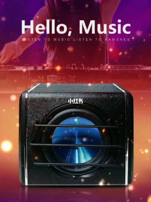 雷蒙斯汽车音响低音炮_低音炮_音响_汽车音响_汽车