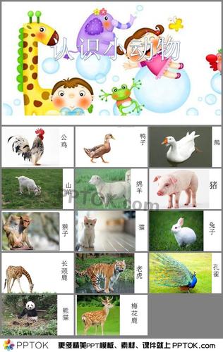 幼儿园《认识小动物》ppt