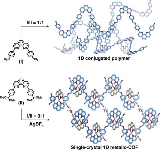 mcof-ag的结构表征和分析sem显示mcof-ag单晶呈短棒装,尺寸可以达到两