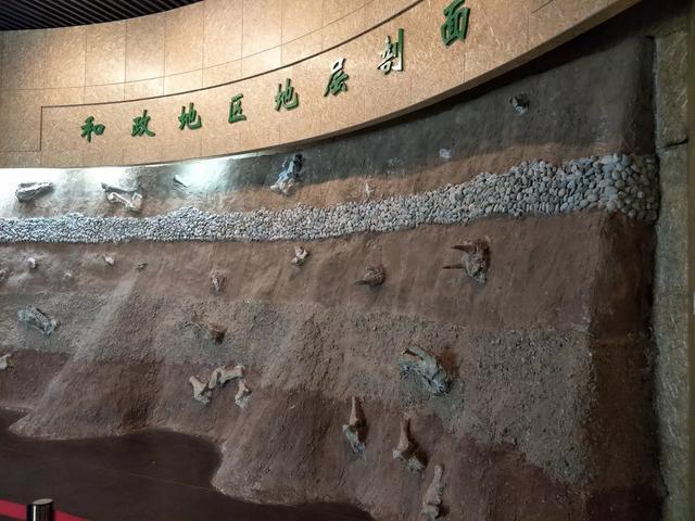 参观和政古生物化石博物馆