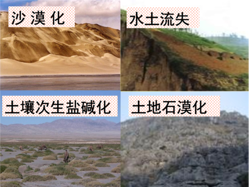 石质荒漠化,土壤盐碱化治理.ppt 12页