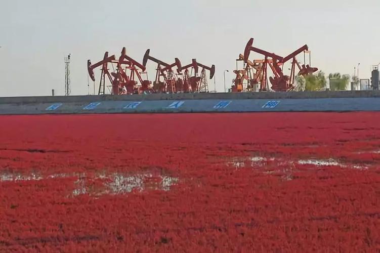 辽河油田超额完成储量任务,油田稳产千万吨