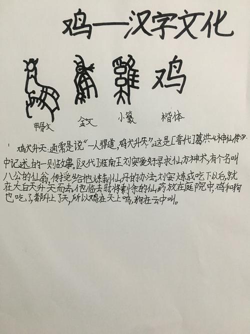 十二生肖——汉字文化