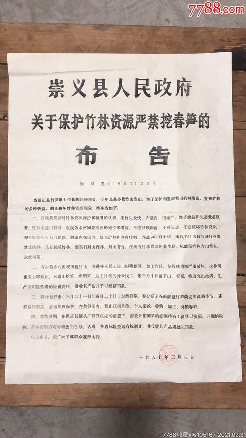 崇义县人政府保护竹林禁挖春笋的通知