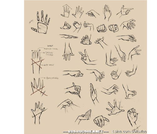 手势素描图