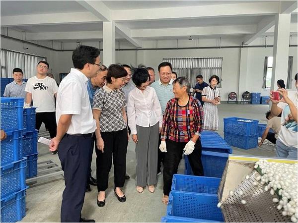绵阳市委副书记王华蓉一行莅临天虹丝绸调研