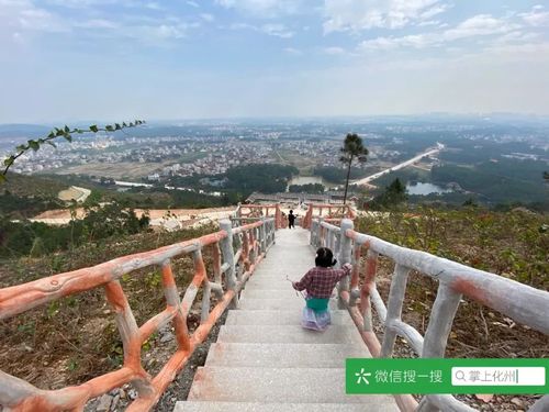 森林公园,石龙山,化州,公园,山顶,云亭