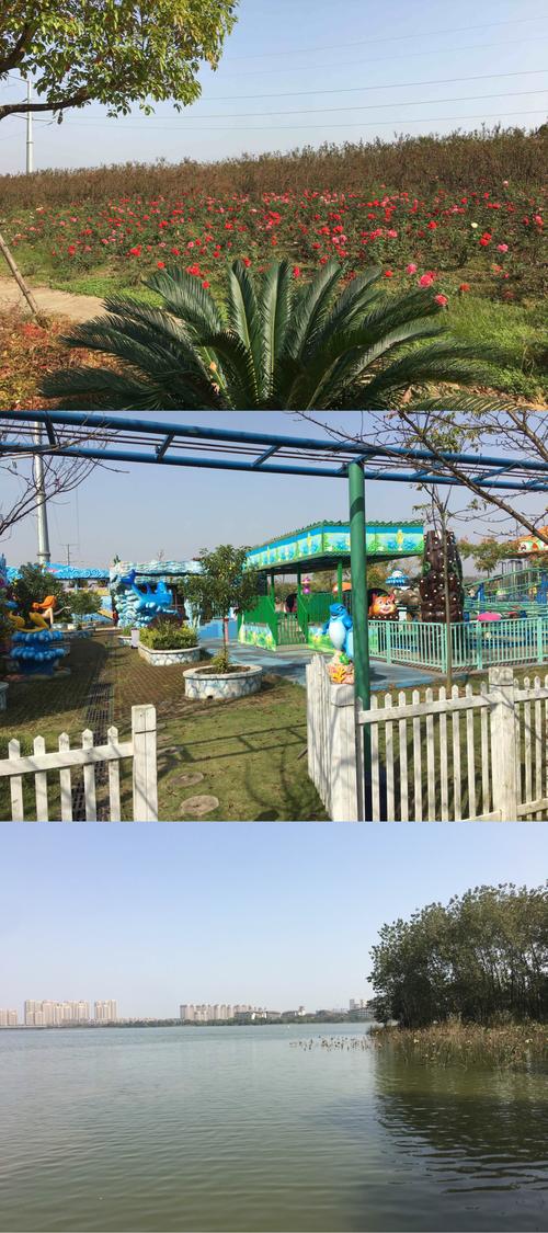 光谷半岛生态园