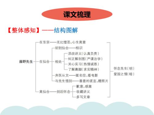 统编版八年级语文上册6 藤野先生习题课件(44张ppt)