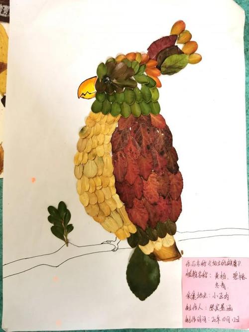 河北省石家庄市神兴小学开展科学学科树叶画作品展示