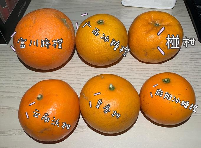 今年吃了很多柑橘橙类的,富川脐橙深得我心