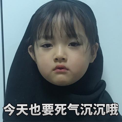 今天也要死气沉沉哦 - 权律二最新表情包,快来收图啦~_权律二表情