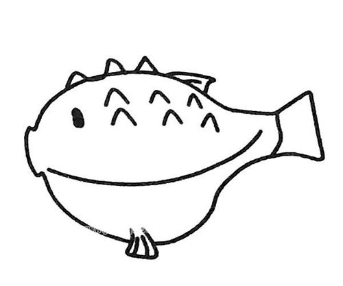 6款可爱的河豚简笔画图片