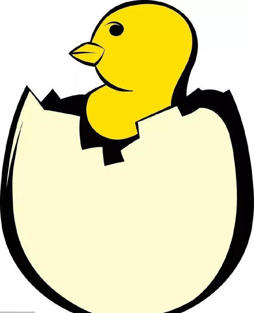 为什么有的鸡蛋能够孵出小鸡有的则不能呢?母鸡是如何