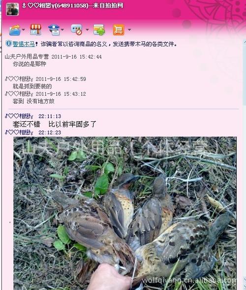 山夫 十环套 竹鸡套 水鸡套 毛鸡套 h套 鸟套 结合 电媒 使用