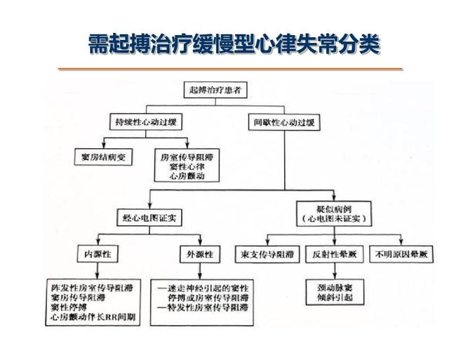 2013 年欧洲心律学会和 欧洲心脏病学会心脏起搏器治疗指南ppt