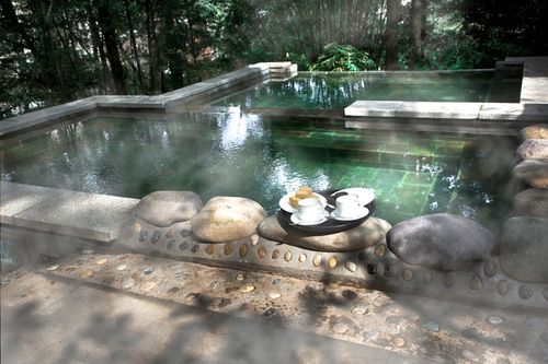成都花水湾第一村温泉大酒店