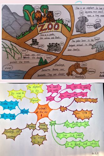 一起看一看同学们绘制的思路清晰的导图和画面精美,内容丰富的手抄报